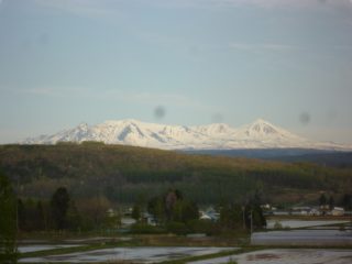 木育広場から望む大雪山